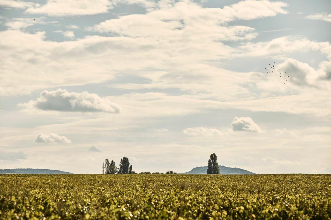 Como Le Montrachet Puligny-Montrachet Εξωτερικό φωτογραφία