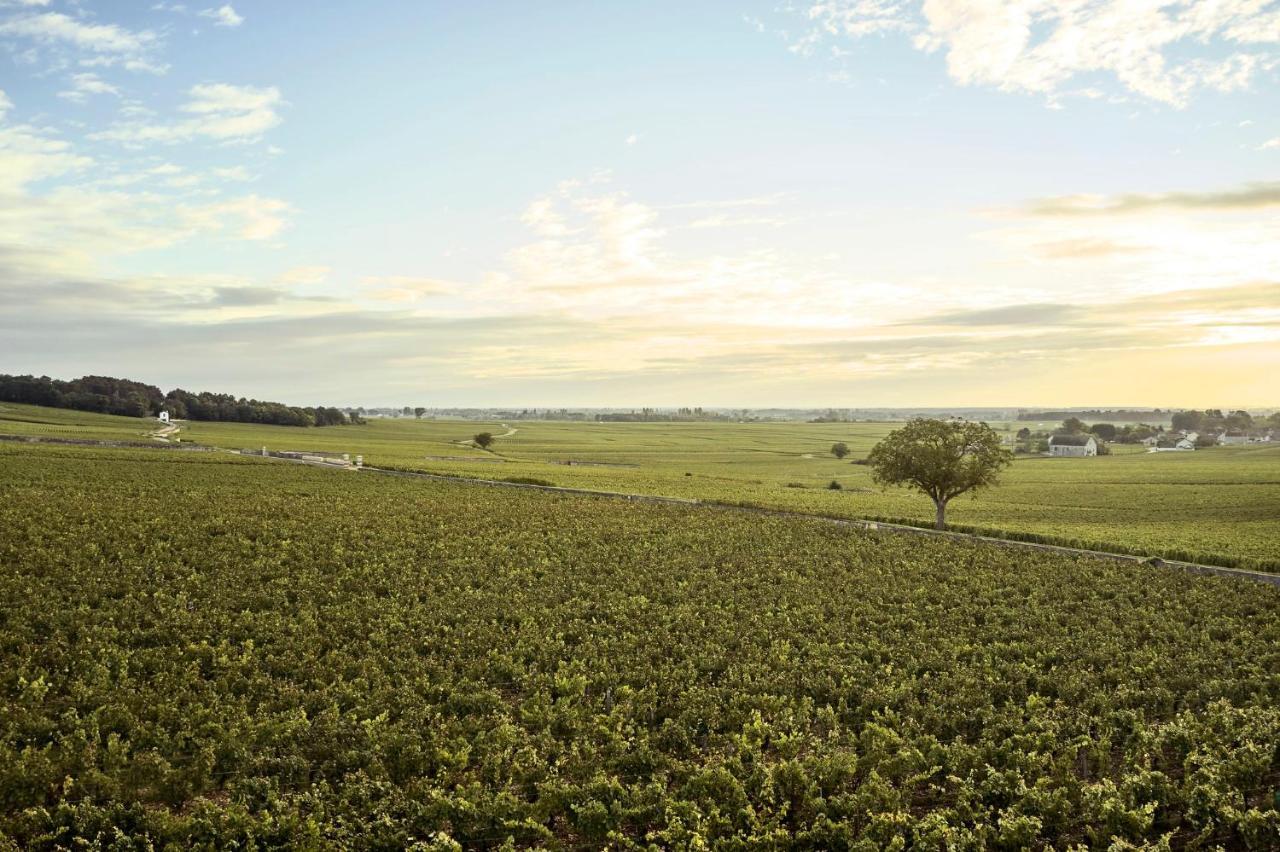 Como Le Montrachet Puligny-Montrachet Εξωτερικό φωτογραφία