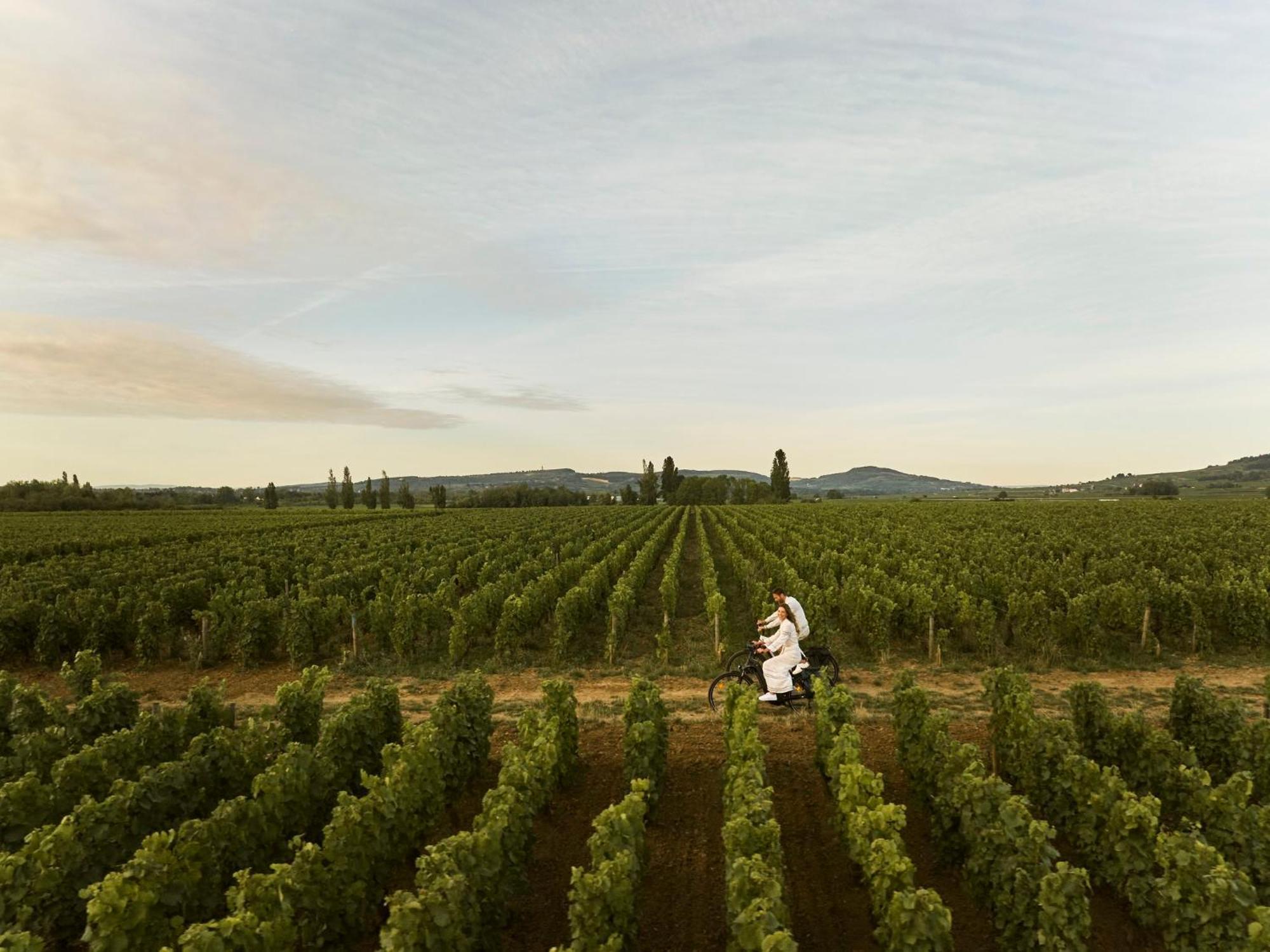Como Le Montrachet Puligny-Montrachet Εξωτερικό φωτογραφία